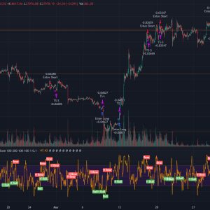 HiT Elite Divergence